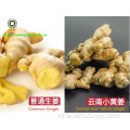 Chinees gedroogd gember geheel